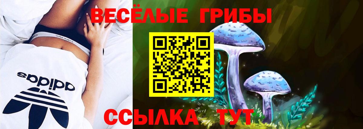 Псилоцибиновые грибы мицелий Обнинск